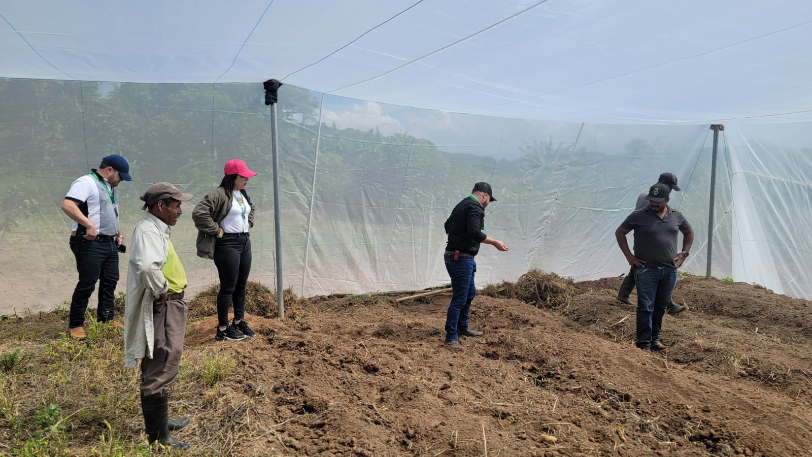 Banadesa otorga más de 1 millón de lempiras en créditos a productores de Lempira...